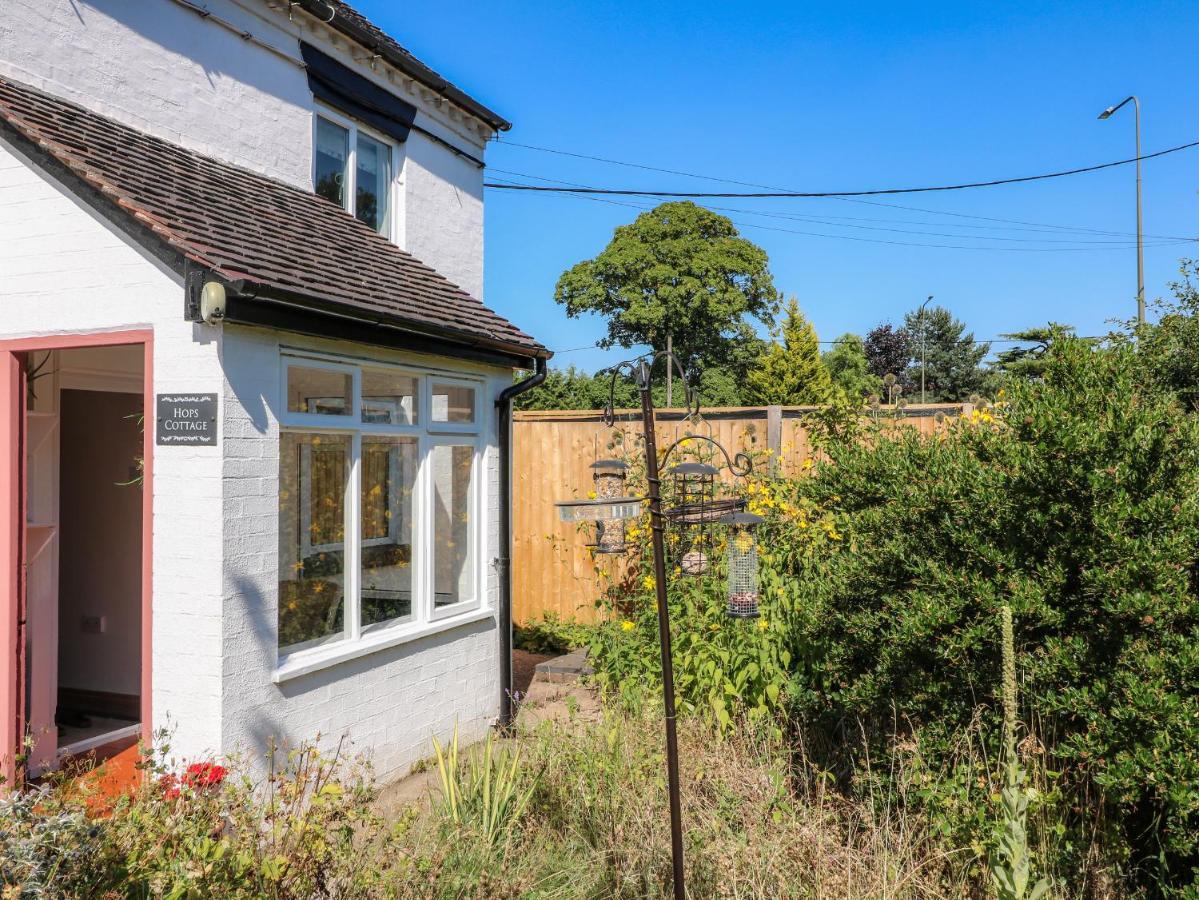 Hops Cottage แอชบอร์น ภายนอก รูปภาพ